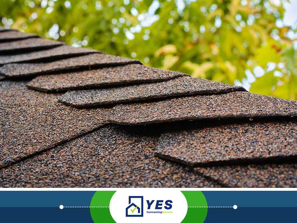 19.-Everything-You-Need-to-Learn-About-Wind-Damage-